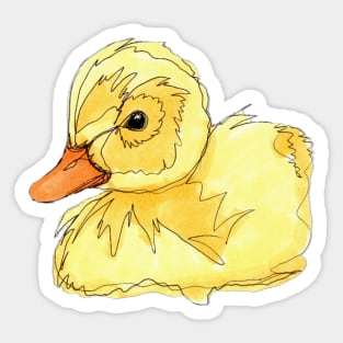 Cute Duckling Sticker